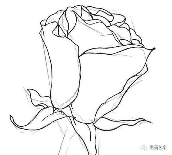 使用CAD绘制一朵玫瑰花 - BIM,Reivt中文网